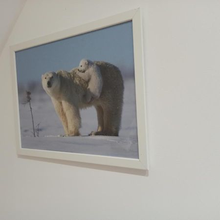 A 4 Min Du Zoo De Beauval La Maison A Partager Ch4 2Eme Etage Saint-Aignan  Exterior foto