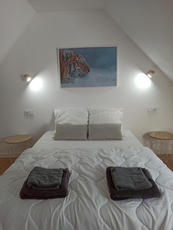 A 4 Min Du Zoo De Beauval La Maison A Partager Ch4 2Eme Etage Saint-Aignan  Exterior foto